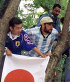 Argentine and Japanese fans share a tree to get a view of the game