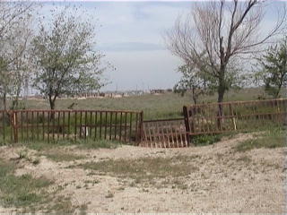 Old Graveyard