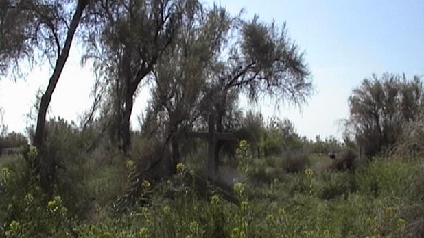 Bronislaw’s final resting place. What a beautiful spot.