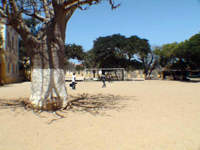 Football by the baobab tree